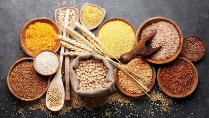 बोगस बियाण्याला प्रतिबंधाकरता बियाणे विधेयक २०२५ चा मसुदा तयार