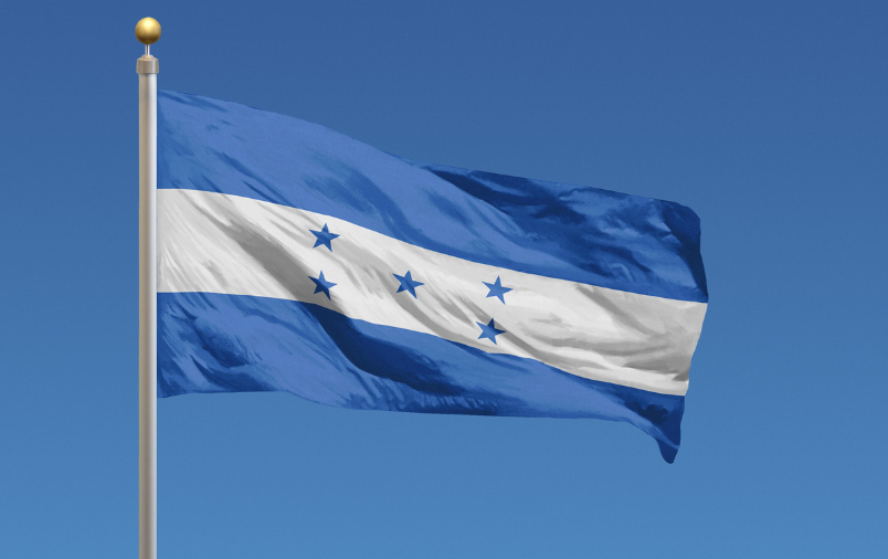 হন্ডুরাসে আজ  রাষ্ট্রপতি, কংগ্রেস এবং অন্যান্য স্থানীয় পদগুলির নতুন প্রতিনিধি নির্বাচনের জন্য ভোটগ্রহণ শুরু হয়েছে