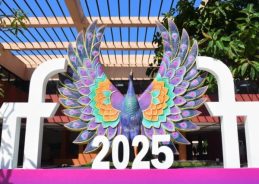 গোয়ায় ৫৬ তম আন্তর্জাতিক চলচ্চিত্র উৎসব প্রায় শেষ পর্যায়ে।