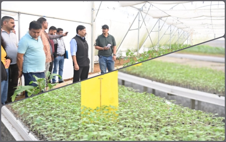 কামৰূপ মহানগৰ জিলাৰ ক্ষেত্ৰীত ইণ্ডো-ইজৰাইল চেণ্টাৰ অব এক্সেলেন্স ফৰ ভিজিটেবলছ শীর্ষক কেন্দ্ৰটোৰ স্থান কৃষি মন্ত্রী অতুল বৰাৰ পৰিদৰ্শন