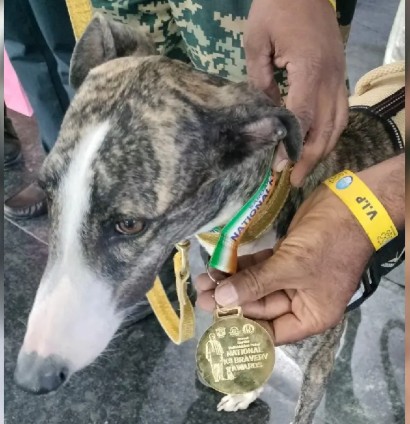 बीएसएफ की ट्रैकर डॉग बबीता को राष्ट्रीय के9 वीरता पुरस्कार-2025 से सम्मानित