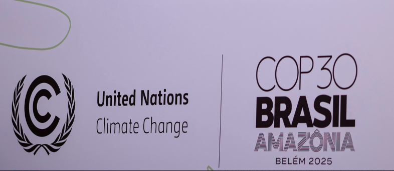 सीओपी-30 जलवायु शिखर सम्मेलन में सभी से वर्ष 2030 तक वनों की कटाई रोकने का किया गया आग्रह