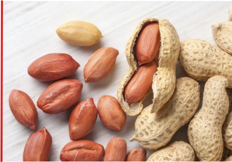 ટેકાના ભાવે રાજ્યના સિત્તર હજારથી વધુ ખેડૂતો પાસેથી એક હજાર 177 કરોડના મૂલ્યની 1.62 લાખ મેટ્રિક ટનથી વધુ મગફળીની ખરીદી કરાઇ