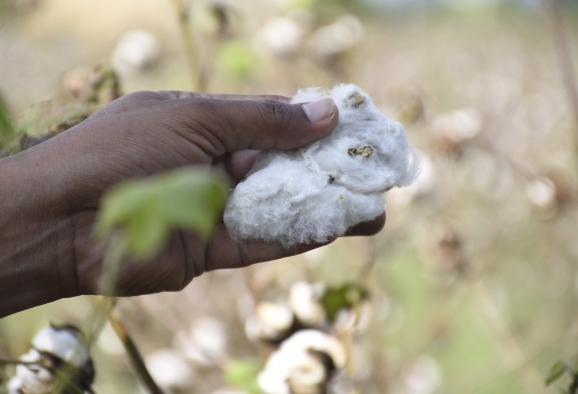 રાજ્યભરમાં કમોસમી વરસાદને કારણે થયેલા પાક નુકશાની સર્વેની કામગીરી યુદ્ધના ધોરણે ચાલી રહી છે