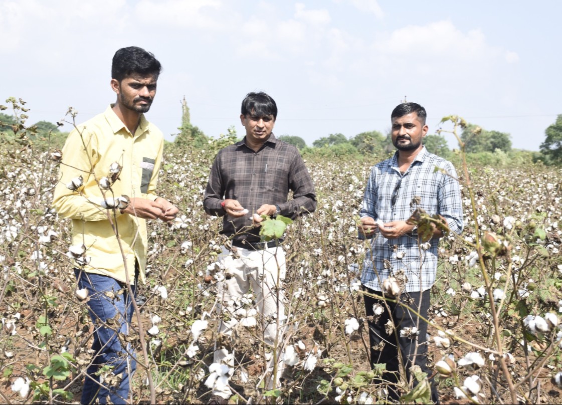મુખ્યમંત્રી ભૂપેન્દ્ર પટેલે આજે વરસાદથી અસરગ્રસ્ત ગીરસોમનાથ અને જુનાગઢ જિલ્લાની મુલાકાત લીધી- ખેડૂતો સાથે વાતચીત કરી