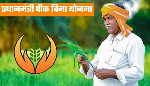 वन्य प्राण्यांचे हल्ले आणि धान पीकात पाणी साचण्यालाही प्रधानमंत्री पीकविमा योजनेचं संरक्षण मिळणार