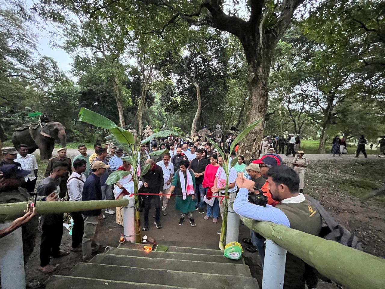 কাজিৰঙা ৰাষ্ট্ৰীয় উদ্যানত আজিৰে পৰা পুনৰ পৰ্যটকৰ বাবে হাতী ছাফাৰী আৰম্ভ