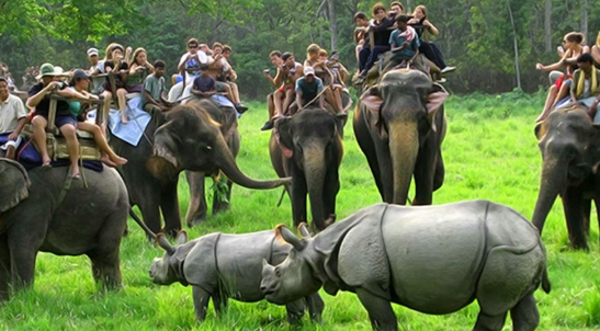 কাজিৰঙা ৰাষ্ট্ৰীয় উদ্যানৰ কহৰা সংমণ্ডল পৰ্যটকৰ বাবে মুকলি