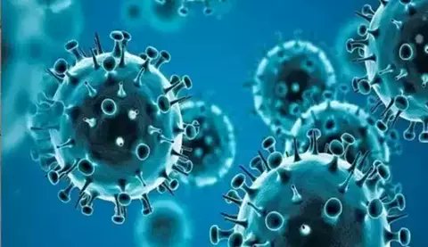 इथोपिया में मारबर्ग रोग का प्रकोप, अब तक 5 की मौत