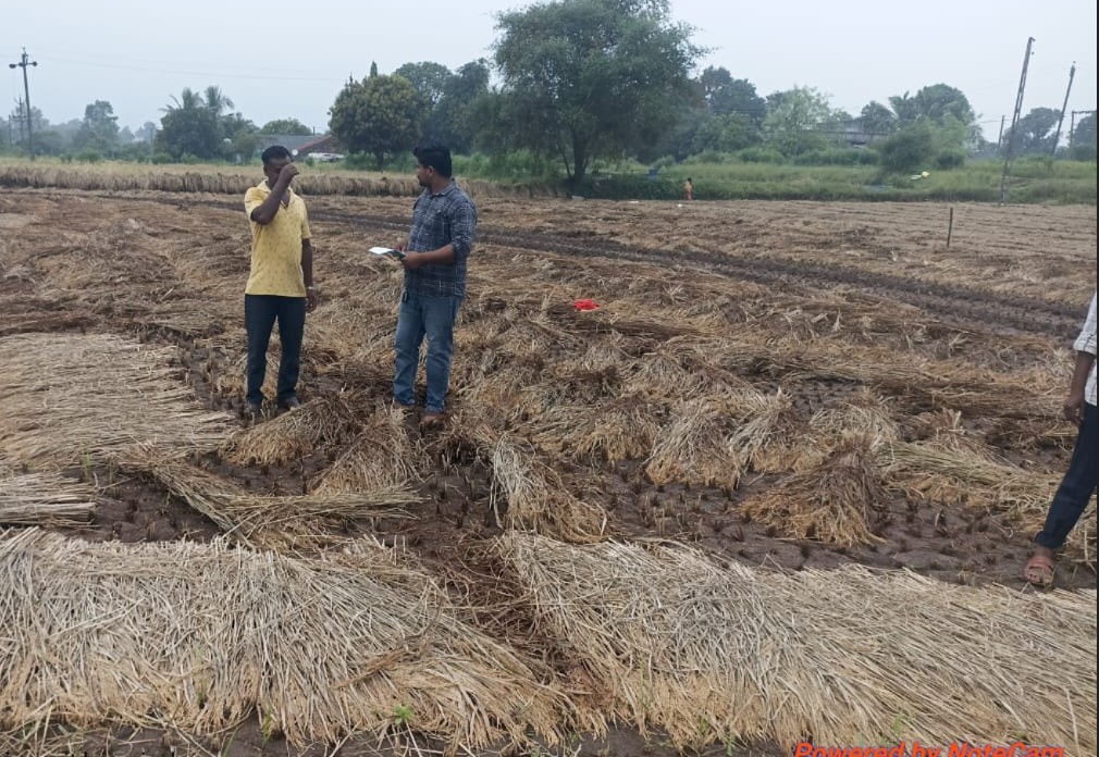 વાવ-થરાદ, પાટણ, કચ્છ, પંચમહાલ અને જૂનાગઢ જિલ્લામાં પિયત અને બિનપિયત જમીન બંનેમાં ખેડૂતોને 22 હજાર રૂપિયાની સહાય અપાશે