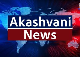 Five killed in late-night car accident in Ludhiana