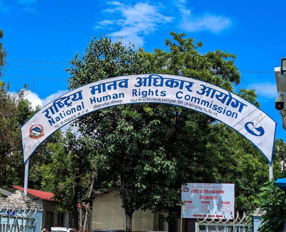 NHRC takes suo motu cognizance of reported nibbling of dead bodies by ...