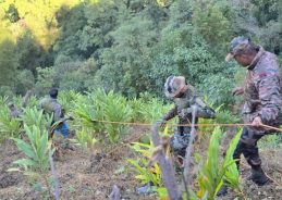 President, Vice President and PM Express Grief Over Arunachal Road Tragedy