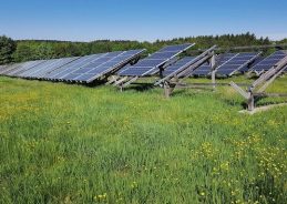 MNRE Denies Reports of Halting Renewable Energy Financing in India