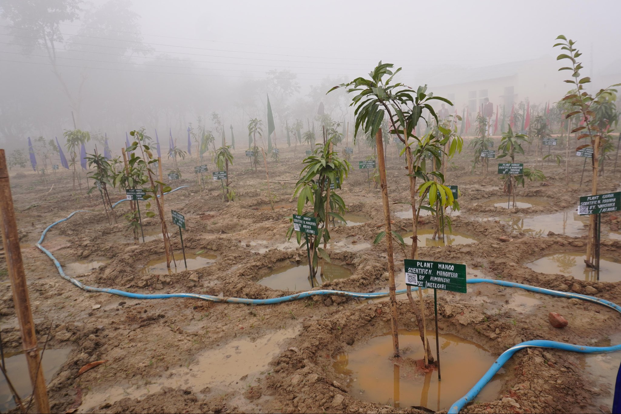 गौतम बुद्ध नगर के पीएम श्री नवोदय विद्यालय में स्पेशल कैंपेन 5.0 के तहत माइक्रो फॉरेस्ट का उद्घाटन