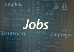 India’s Unemployment Rate Falls to 4.7% in November: MoSPI