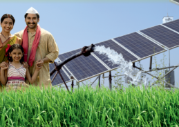 Maharashtra Sets Guinness World Record with 45,911 Solar Agriculture Pumps in One Month