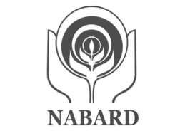 NABARD survey indicates rising incomes and improved household well-being in rural India