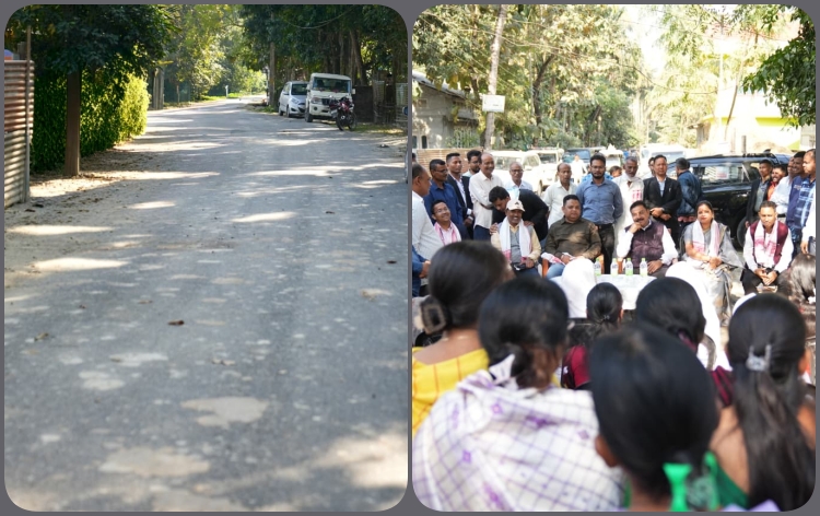 পাটাছাৰকুছি সমষ্টিৰ দক্ষিণ বজালী অঞ্চলত মন্ত্ৰী ৰণজিৎ কুমাৰ দাসে তিনি কোটি ৪৫ লাখ টকা ব্যয় সাপেক্ষে নির্মাণ কৰা তিনিটা পকীপথ মুকলি কৰে