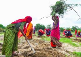 Agriculture Minister Shivraj Singh Chouhan to Introduce Viksit Bharat Rural Employment Bill in Lok Sabha