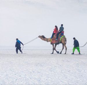 પૂનમની ચાંદનીમાં વિશ્વપ્રસિદ્ધ સફેદ રણનો નજારો  નિહાળવા મુખ્યમંત્રી આજે સાંજે  ધોરડોની મુલાકાતે