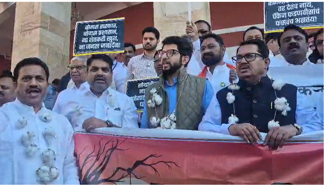 शेतकऱ्यांच्या प्रश्नांवर विरोधक आक्रमक, विधानभवनाच्या पायऱ्यांवर आंदोलन