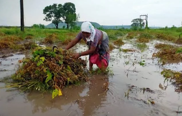 पूरग्रस्त शेतकऱ्यांसाठी राज्याची केंद्राकडे २९ हजार कोटी रुपयांची मागणी