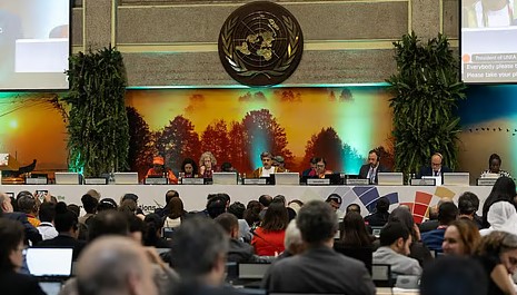 جنگلاتی آگ کے عالمی بندوبست کو مستحکم بنانے سے متعلق بھارت کی قرارداد، نیروبی میں اقوام متحدہ کی ماحولیات سے متعلق اسمبلی کے ساتویں جلسے میں منظور کر لی گئی۔