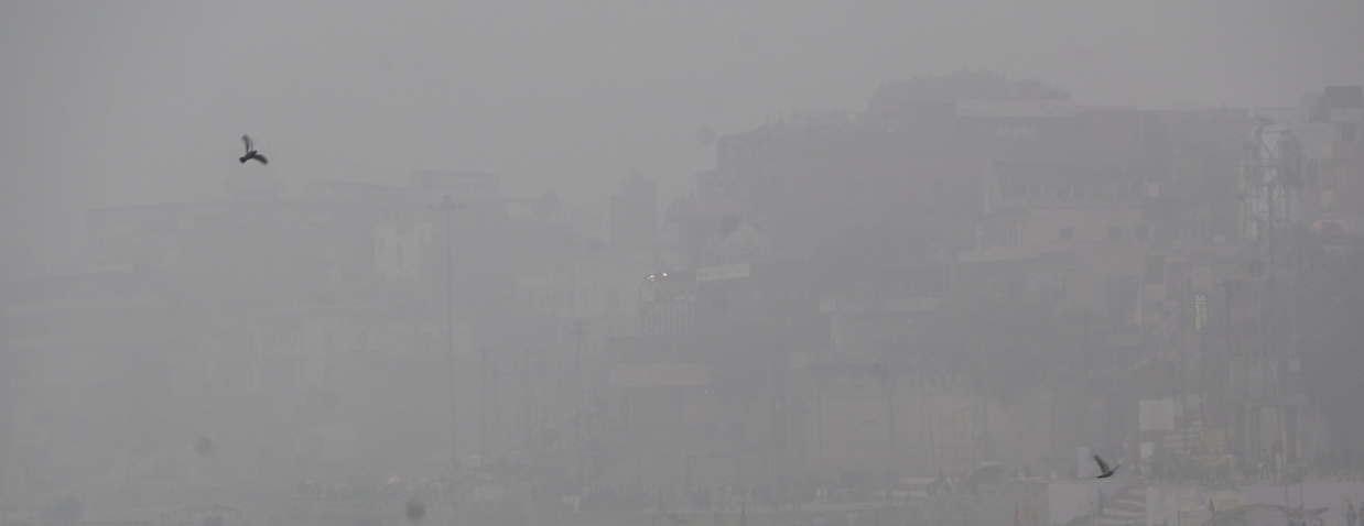 उत्तर भागात धुक्याची चादर