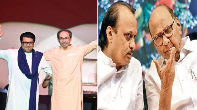 महापालिका निवडणुकांसाठी ठाकरे बंधू आणि पवार कुटुंब एकत्र येण्याच्या तयारीत