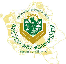 पालघर जिल्ह्यात ९ टन  प्लास्टिक जप्त