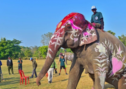 19th Chitwan Elephant and Tourism Festival concludes in Nepal