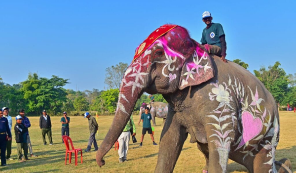 19th Chitwan Elephant and Tourism Festival concludes in Nepal