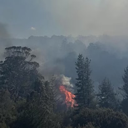तस्मानिया के डॉल्फिन सैंड्स में लगी भीषण आग, 30 से अधिक घर क्षतिग्रस्त