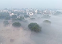 Red Alert Issued in Uttar Pradesh for Dense Fog: IMD