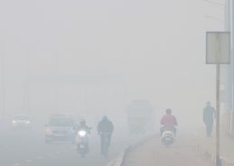 IMD issues red warning for dense fog in Delhi, Haryana, Punjab and Chandigarh