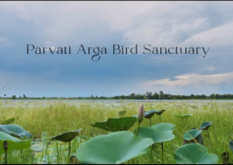 Government declares Parvati-Arga Bird Sanctuary as Eco-Sensitive Zone