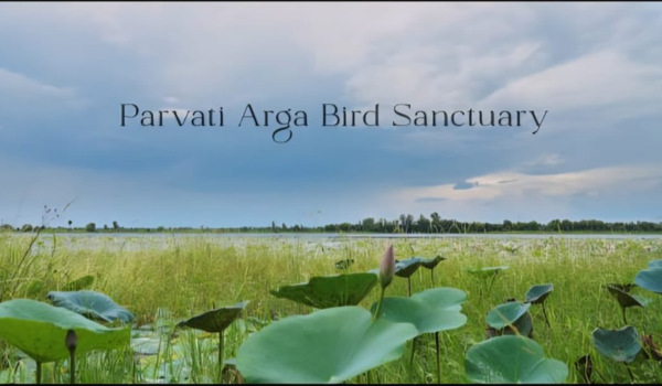 Govt declares Parvati-Arga Bird Sanctuary as Eco-Sensitive Zone