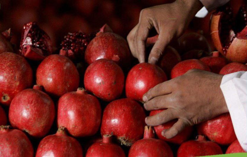 अफगानिस्तान ने पहली बार कतर को निर्यात किये कंधार के अनार