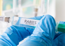 Indian Immunologicals Limited refutes claims by Australian health authorities on fake Abhayrab vaccine doses
