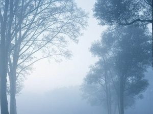 ভারতের আবহাওয়া দফতর- আইএমডি আজ দিল্লি, হরিয়ানা, চণ্ডীগড়, মহারাষ্ট্র, মরাঠওয়াড়া এবং পাঞ্জাবের কিছু অংশে শৈত্যপ্রবাহের পূর্বাভাস দিয়েছে