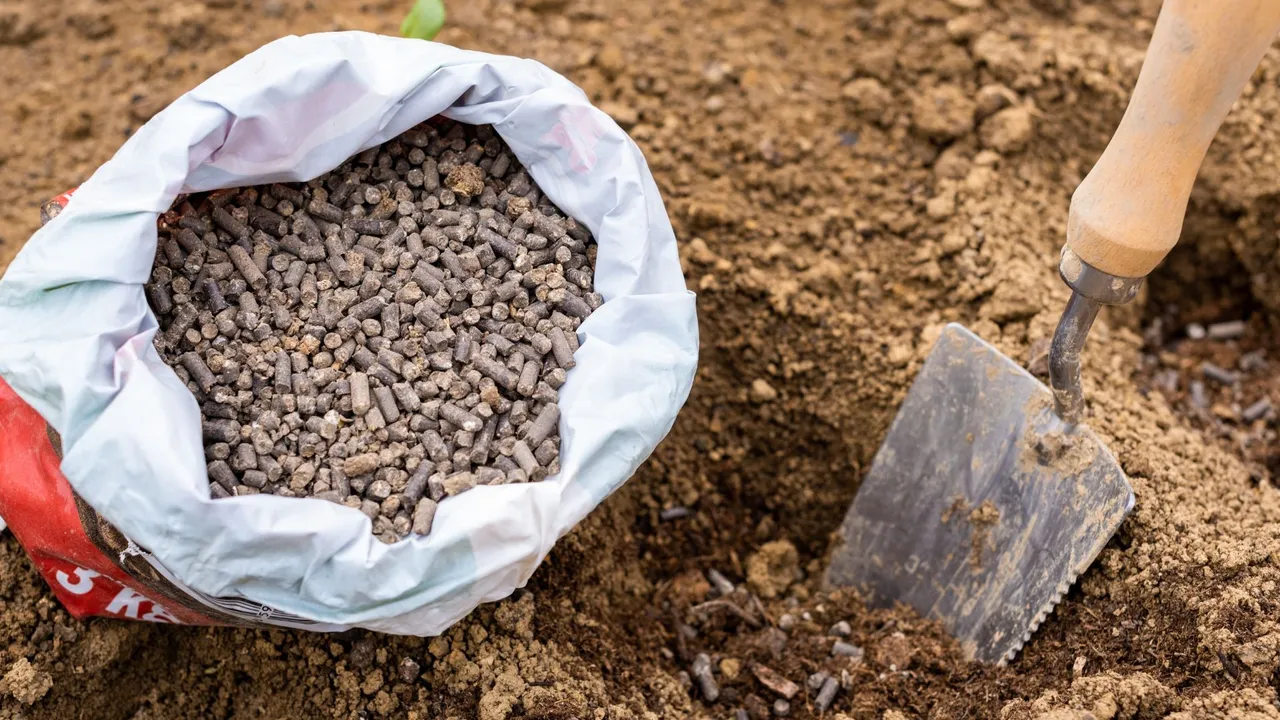 कालाबाजारी, जमाखोरी कर रहे उर्वरक डीलरों पर सरकार सख्त, जारी किए जा रहे हैं कारण बताओ नोटिस