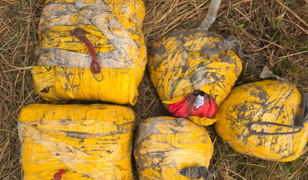 पंजाब: पंजाब पुलिस और सीमा सुरक्षा बल के संयुक्त अभियान में हथियार और नशीले पदार्थों के साथ 7 गिरफ्तार