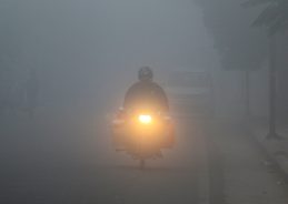IMD forecasts dense to very dense fog conditions in Delhi, Haryana, Chandigarh and Punjab