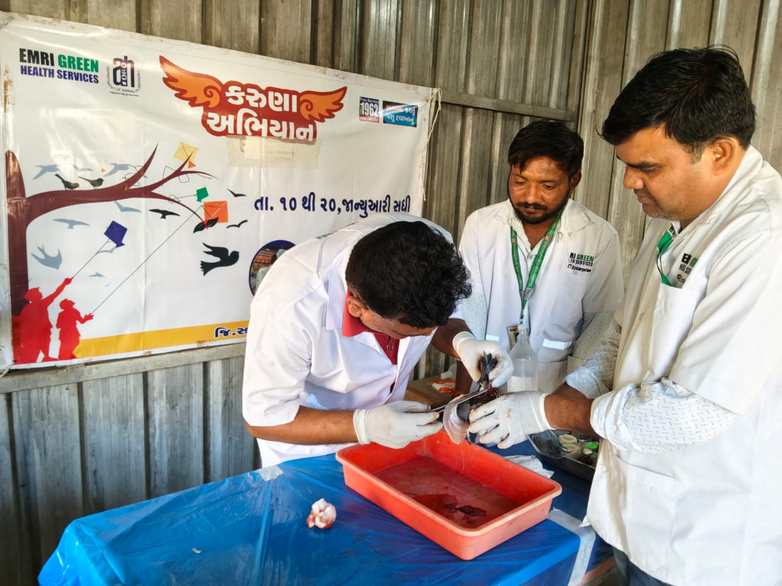 રાજ્યમાં કરૂણા અભિયાન અંતર્ગત અત્યાર સુધીમાં પાંચ હજારથી વધુ પક્ષીઓની સારવાર – 108 સેવામાં 3 હજારથી વધુ ઇમરજન્સી કેસ નોંધાયા.