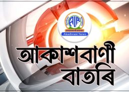 চৰাইদেউ মহোৎসৱ উপলক্ষে প্রতিকী ৰূপত স্বৰ্গদেউ শোভাযাত্ৰা আৰু ৰাজসভাৰ আয়োজন