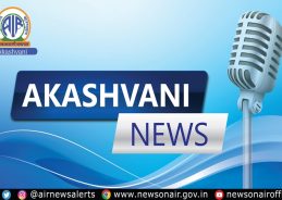 Four Maoists Killed in Encounter With Security Forces in Chhattisgarh’s Bijapur