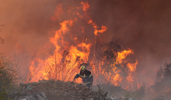 Chile: Violent wildfire rages near Concepción; Thousands forced to evacuate