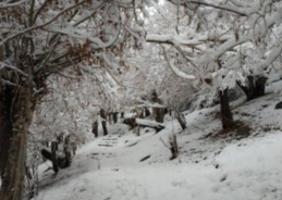 Cold wave intensifies across Ladakh, Drass records minus 24.6 degree Celsius