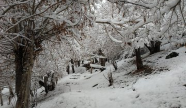 Cold wave intensifies across Ladakh, Drass records minus 24.6 degree Celsius